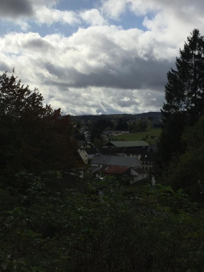 Ferienhaus Burggraf Villa Kelberg Exterior foto